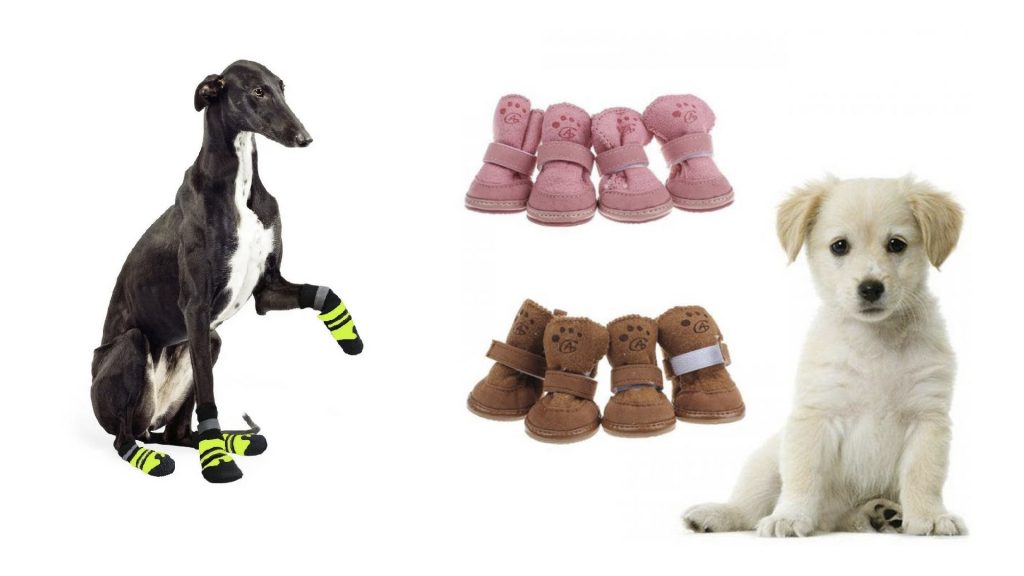 shoes-for-dogs